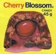 Cherry Blossom Cherry Chocolate Candy From Canada 20 Boxes Over 2 Pounds Total with Liquid Cherry Syrup Cherry Blossom Cherry Chocolate Candy From Canada 20 Boxes Over 2 Pounds Total with Liquid Cherry Syrup