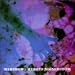 Search : Hybrid Noisebloom