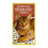 Cats:  Caressing the Tiger (National Geographic Video) [VHS]