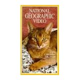 Cats: Caressing the Tiger (National Geographic Video) [VHS]