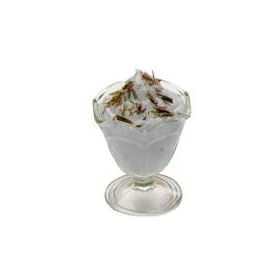 Calorie Control Instant Pudding - Coconut