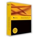 Revue Symantec 14173185 / Symantec Backup Exec System Recovery Windows Small Business Server Edition - (version 8.5 ) - ensemble complet - 1 serveur - Symantec Buying Programs : Business Pack - CD - Win - Multi