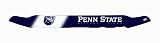 EGR 303170PEN Penn State Nittany Lions Collegiate Shield