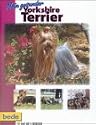 Mein gesunder Yorkshire Terrier