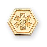 14k Non-Enameled Attachable Medical Emblem Charm