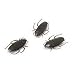 Roach-O-Rama, Mini Wall-Walking Cockroaches, 3Pk