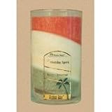 Aloha Bay Candle Bouquet Jar Holiday Spirit