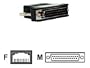 Equinox RJ45 Modular Adapter 10-Wire DB25 Dce Male