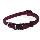 Aspen Pet 3/8 Single Ply Nylon Adjustable Dog and Cat Collar