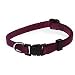 Aspen Pet 3/8 Single Ply Nylon Adjustable Dog and Cat Collar