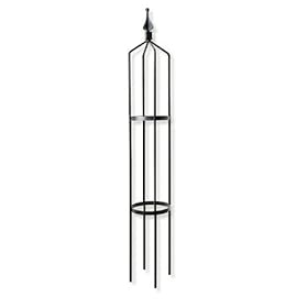 72 Obelisk by GardensandHome.com