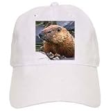 Wild animals - Groundhog - Caps