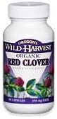 Red Clover - Oregon's Wild Harvest