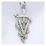 Childrens Toyshop  Jewelry : Veterinarian Charm