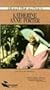 Katherine Anne Porter: Eye of Memory [VHS]