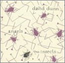 Angels & Insects