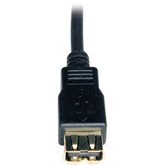 Tripp Lite U024-010 10' USB A/A Gold Extension Cable for USB2.0 Cable (USB-A M/F), 10 ft.