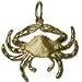 Jewelry : Crab Charm