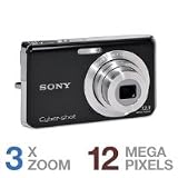 Sony Cybershot DSC-W190 12.1MP Digital Camera with 3x Super Steady Shot Stabilized Zoom and 2.7 inch LCD (Black)
