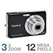 Sony Cybershot DSC-W190 12.1MP Digital Camera with 3x Super Steady Shot Stabilized Zoom and 2.7 inch LCD (Black)