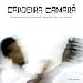 Capoeira Camar�
