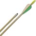 Sporting Goods : Deluxe Glass Target Arrows - DZN (DZN)