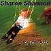 Sharon shannon, Each little thing