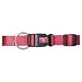 Adjustable Dog Collar - 3/4 in. x 16 to 22 in. - Raspberry