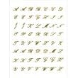 Joby Gold Collection - GOLD-07