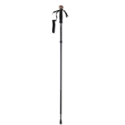 tracks hiking stick