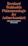 Phänomenologie der Aufmerksamkeit