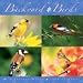 Backyard Birds 2009 Wall Calendar