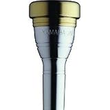 Flugelhorn Accessories
