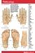 Reflexology Pockets Perma Charts