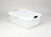 Kitchen & Housewares : Clear Storage Box - Iris 33-Qt. - CB-30