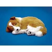 Lassie by 