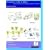 Introduction to 802.16 WiMax, Wireless Broadband Technology, Operation and Services