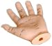 Acupuncture Human Hand Model 13cm