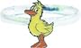 Ring Ente
