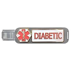 Clearly Charming Diabetic Large Life Links Medical Alert Attachment Italian Charm Bracelet Link