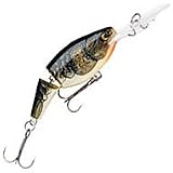 Jointed Shad Rap