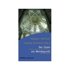 Der Islam am Wendepunkt. Liberale und konservative Reformer einer Weltreligion