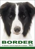 THE DOG Notecard Vol. 1 - Border Collie