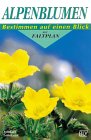 Alpenblumen - Michael Lohmann