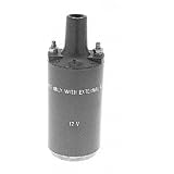 Borg Warner E82 Ignition Coil by BorgWarner