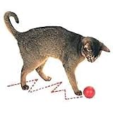 OurPets Zig-N-Zag Ball Cat Toy