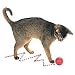 OurPet's Zig-N-Zag Ball Cat Toy