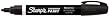 Sharpie Paint Marker Pen Water Base Medium Point, Black Box of 12