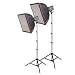 Interfit Photographic Stellar 500watt Tungsten Flood Light 1-Head Kit with Reflector, Bulb, 24x24" Softbox, & Light Stand, 500 Watts Total