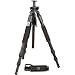 Giottos MT-9160 3-Section Universal Tripod Legs, Black Aluminum (Supports up to 22 lbs)